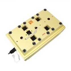 Инкубатор Золушка-2020 (98-220/12) вентилятор, автоповорот